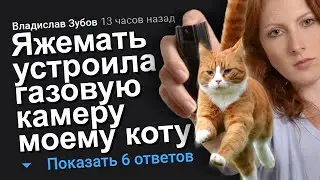 ЯЖЕМАТЬ УСТРОИЛА ГАЗОВУЮ КАМЕРУ МОЕМУ КОТУ. ЯЖЕМАТЬ ИСТОРИИ.