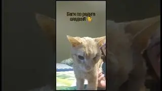 в 