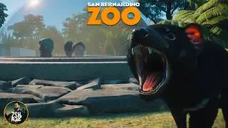 Building a Tasmanian Devil Viewing Dome in Franchise! | San Bernardino Zoo | Planet Zoo Oceania Pack