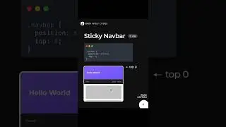 Sticky Navbar👩‍💻