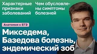 6.93. Заболевания щитовидной железы | Анатомия к ЕГЭ | Георгий Мишуровский