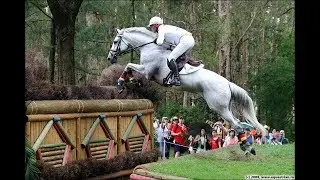 Young And Menace l Конный спорт