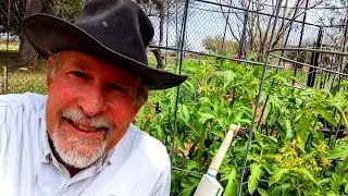 Spring Garden Tour at Deep South Texas