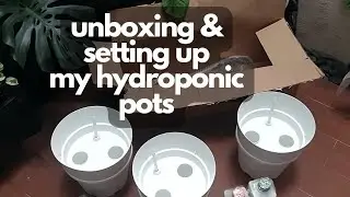 HYDROPONICS AT HOME | Self-watering pots unboxing and set up!