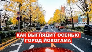 ОСЕНЬ В ЯПОНИИ: На машине по городу Иокогама - Жизнь в Японии