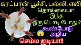 கரப்பான் பூச்சி, பல்லி, எலி தொல்லையா இந்த ஒரு பொடி போதும்/cockroachtips@keerthisaratips5728