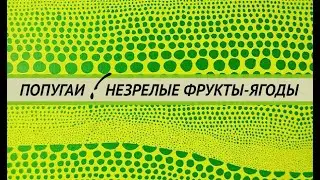 Незрелые ягоды и фрукты для попугаев. Рябина, калина, виноград. вишня, черёмуха, облепиха, орехи.