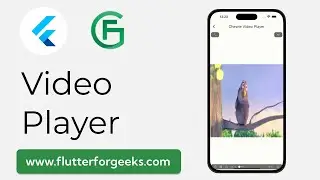 Flutter Video Handling: A Comprehensive Guide with Examples