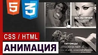 CSS3 Animation hover effect | Практика CSS / HTML5