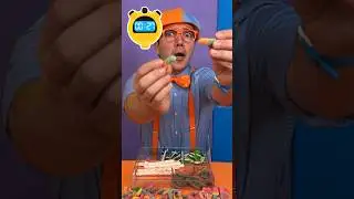 How MANY Rainbow Candies can Blippi COUNT?! 🔴🍭🟣 #blippi #shorts