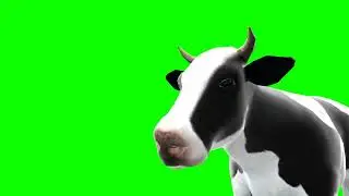 GFM - 4K/HD - Royalty Free Download - Cow 3 - Green Screen - Animation - FX - Cinematic Special FX