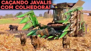 AGRICULTORES CAÇANDO JAVALIS COM COLHEITADEIRA DE FORMA INCRÍVEL!