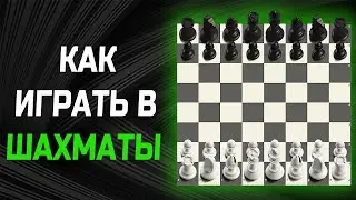 Как играть в шахматы. Шахматы с нуля