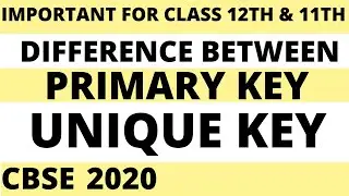 Unique Key and Primary Key Difference | SQL | 11TH AND 12TH CLASS| IMPORTANT