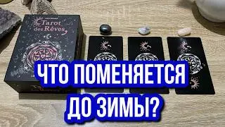 ЧТО ПОМЕНЯЕТСЯ ДО ЗИМЫ В ЖИЗНИ? ❄️ гадание на таро 🍂 Tarot Reading