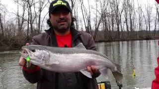 Plug Fishing Midwest Steelhead with Josh Crabtree