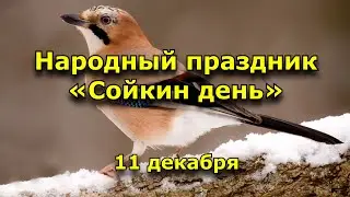 Народный праздник «Сойкин день». 11 декабря. Что нужно делать в этот день