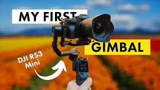 DJI RS3 Mini - Impressive results for a beginner!! // Unboxing, setup, test shots and initial review