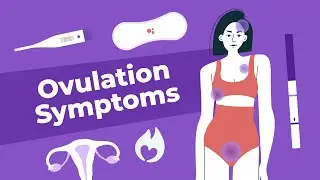 Symptoms of Ovulation | Doctor Explains