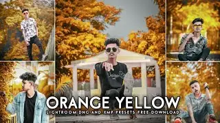 Orange Yellow - Lightroom DNG & XMP Presets Free | Dark green lightroom presets