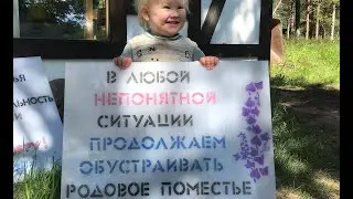 №29 В любой непонятной ситуации продолжаем обустраивать родовое поместье