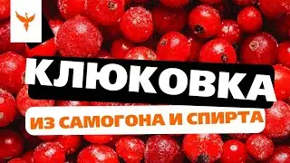 рДЖ 80: Клюковка из самогона и спирта. Любимый рецепт маршала Победы