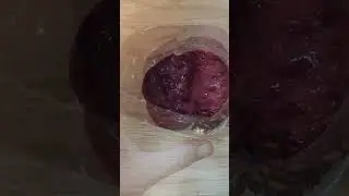 Опарыш из куколок 100% способ разведения ☣ 