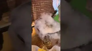 A smoking cocktail! #cocktail #cocktails #margarita #mexicanfood #drink #dryice #beverage #food