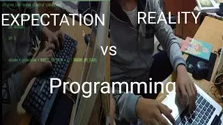 Programming Expectation VS Reality