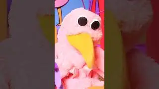 Птица Опила беременна! 