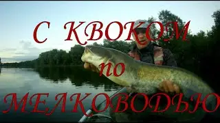 С КВОКОМ ПО МЕЛКОВОДЬЮ \ Ловля сома на квок \ #рыбалка #квок #сом #сомнаквок