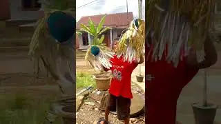ADU TEROMPET MENJELANG TAHUN BARU 