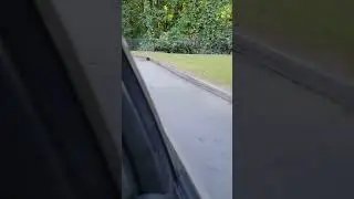 When your car's brakes are DONE - they will sound like this when coasting - listen closely