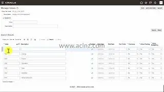 How to enter Chart of Account (COA) Value Set Values in Oracle Fusion Cloud? (R 13 / Ver 23D)