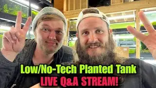 LRB AQUATICS LIVE Q&A: Filterless & Natural Planted Tanks! Lucas Bretz & Alex Williamson of Fishtory