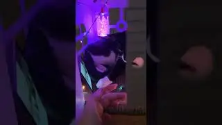 Котик на чилле :)