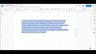 Foundation Fonts in Google Docs