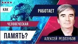 Как работает человеческая память? | Алексей Редозубов