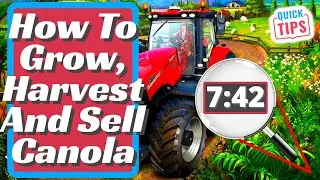 Farming Simulator 22 | Canola Complete Guide | How To Grow, Harvest And Sell Canola