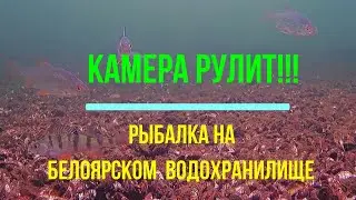Камера рулит. Рыбалка на Белоярском водохранилище.