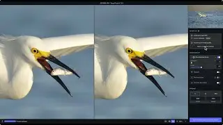 Topaz Photo AI: Why you should use RAW files to get the best possible noise reduction