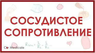 Сосудистое сопротивление - физиология сердечно-сосудистой системы, гемодинамика