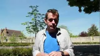 Ford active city stop test