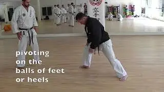 Pivot Ball of Foot or Heel? - Karate