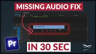 Fix 'UNABLE TO DRAG AUDIO TO TIMELINE' issue | Premiere Pro