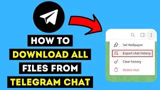 How To Download All Files From a Telegram Chat/Group (NEW METHOD 2024!)