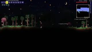 Terraria Пробуэм вижити в двох