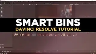 Using Smart Bins In Davinci Resolve 12.5