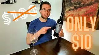 BEST WINE UNDER $20 - 90 Plus Cellars Big Red Blend Review [EXPENSIVE Wine Into Budget Wine]