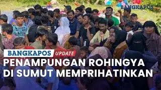 Penampungan Rohingya di Sumut Memprihatinkan, UNHCR Minta Bisa Digeser dan Dekat dengan Air Bersih